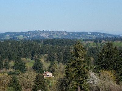 Bull Mountain