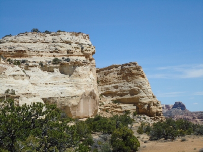 Cactus Flats