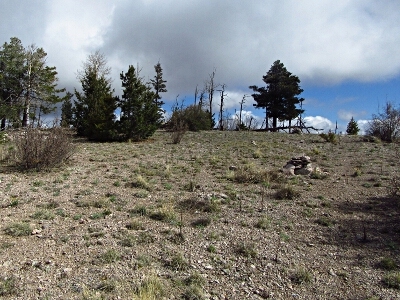 Blue Mountain