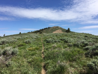 "Salt Creek Peak"