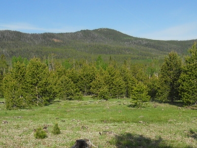 Grizzly Benchmark