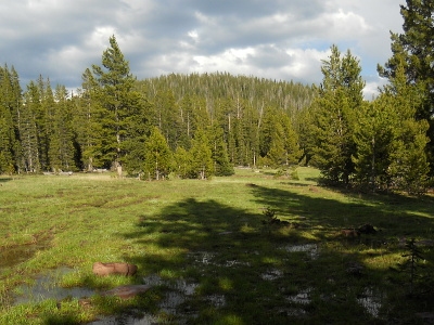 Sims Peak
