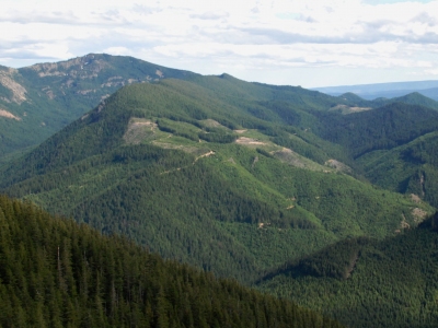 Blazed Ridge
