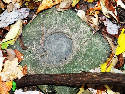 Bertrand Benchmark