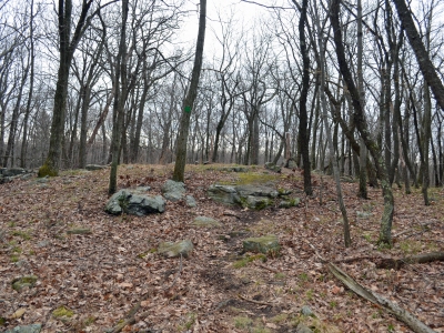 Bailey Benchmark