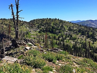 Grass Mountains (HP)