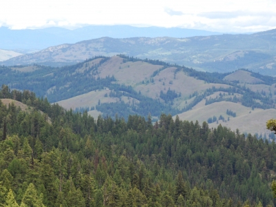 Irene Mountain