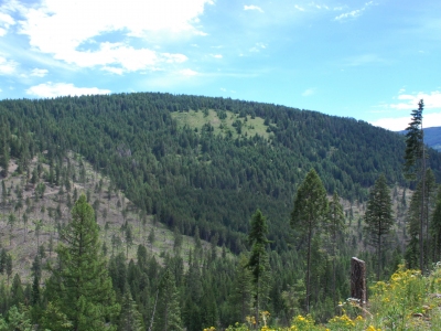Aspend Hill