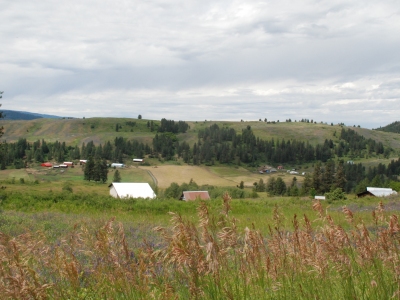 Bonanza Hill