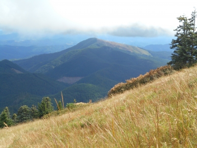 Old Blue Mountain
