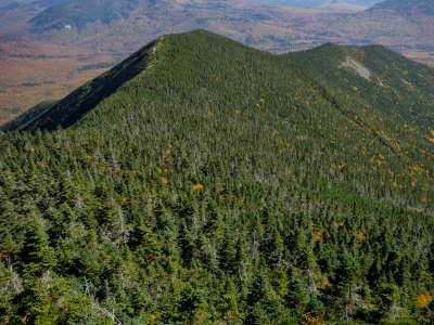Signal Ridge
