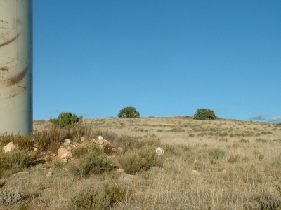 Bald Hill