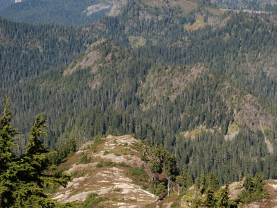 South Fork Divide