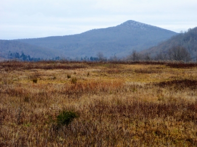 Swago Mountain