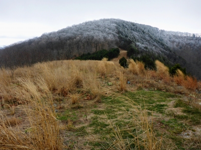Pike Knob