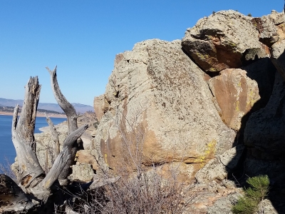 "Dead Tree Caves"