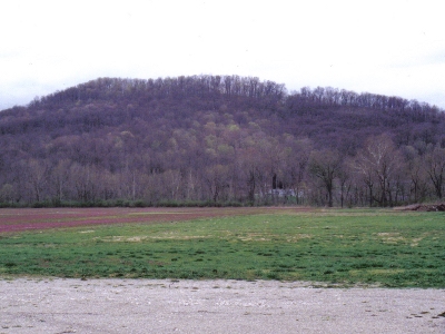 Farrell Hill