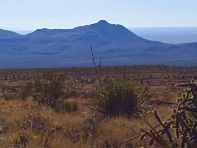 Dog Mountain