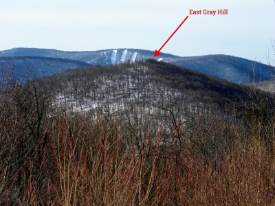 "East Gray Hill"