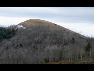 Big Spring Mountain