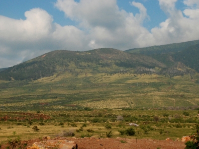 Paupau