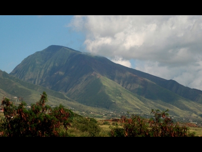 Lihau