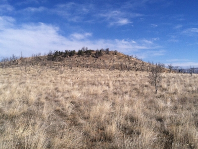 Bunkwater Ridge