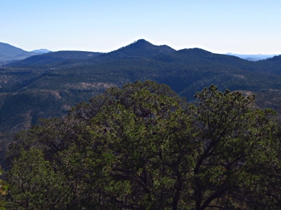 Pine Peak