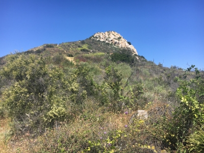 "Rock Mountain"