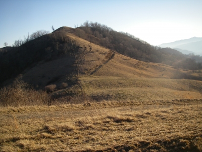 Lee Mountain