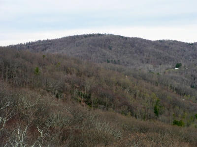 "Blue Ridge Pastures"