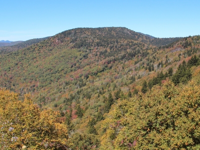 Reinhart Knob