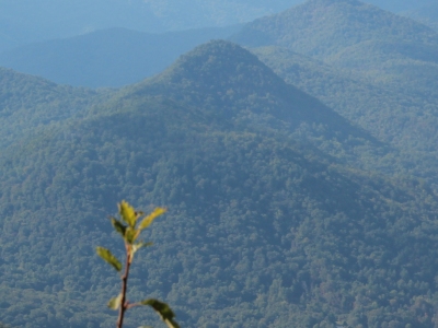 Cedar Knob