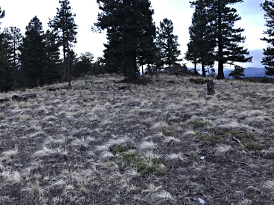 Crow Hill