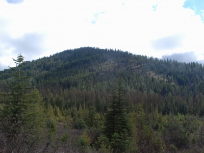 Deer Mountain