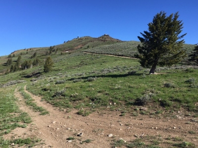 Sturgill Peak