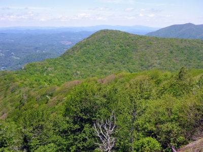Three Top Mountain, East
