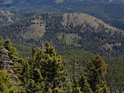 Bear Mountain
