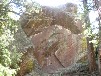 "Brown Glass Wall"