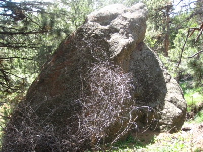 "Corwin Simmon's Rock"
