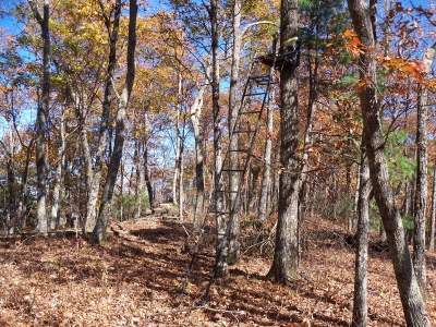 Rattlesnake Mountain