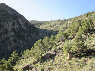 Kawich Peak