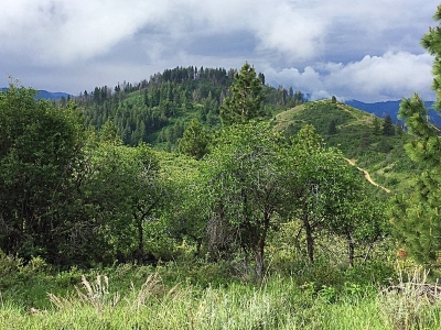 Casner Mountain
