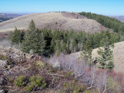Sawmill Ridge