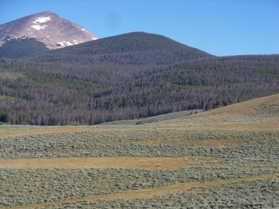Black Mountain