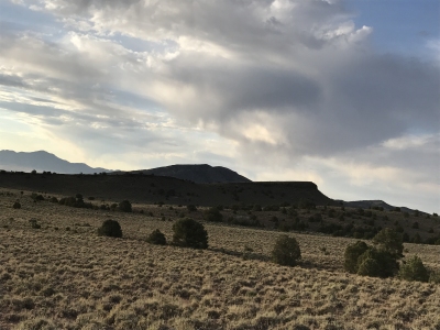 Andesite Ridge