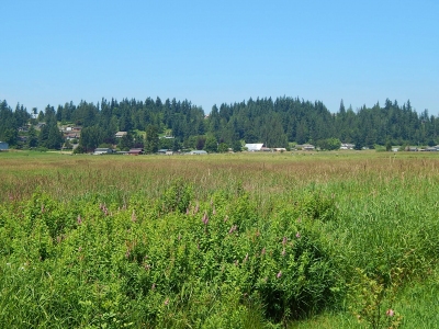 Stanridge Hill
