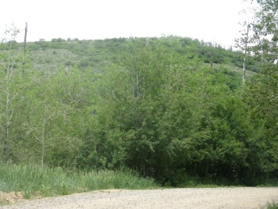 Uncle Bob Mountain