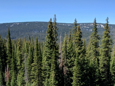Huston Park Wilderness HP