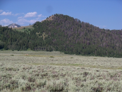 Brays Butte